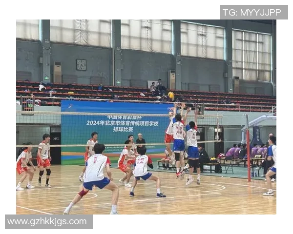北京排球队状态引发热议球迷与专家各执己见的背后故事